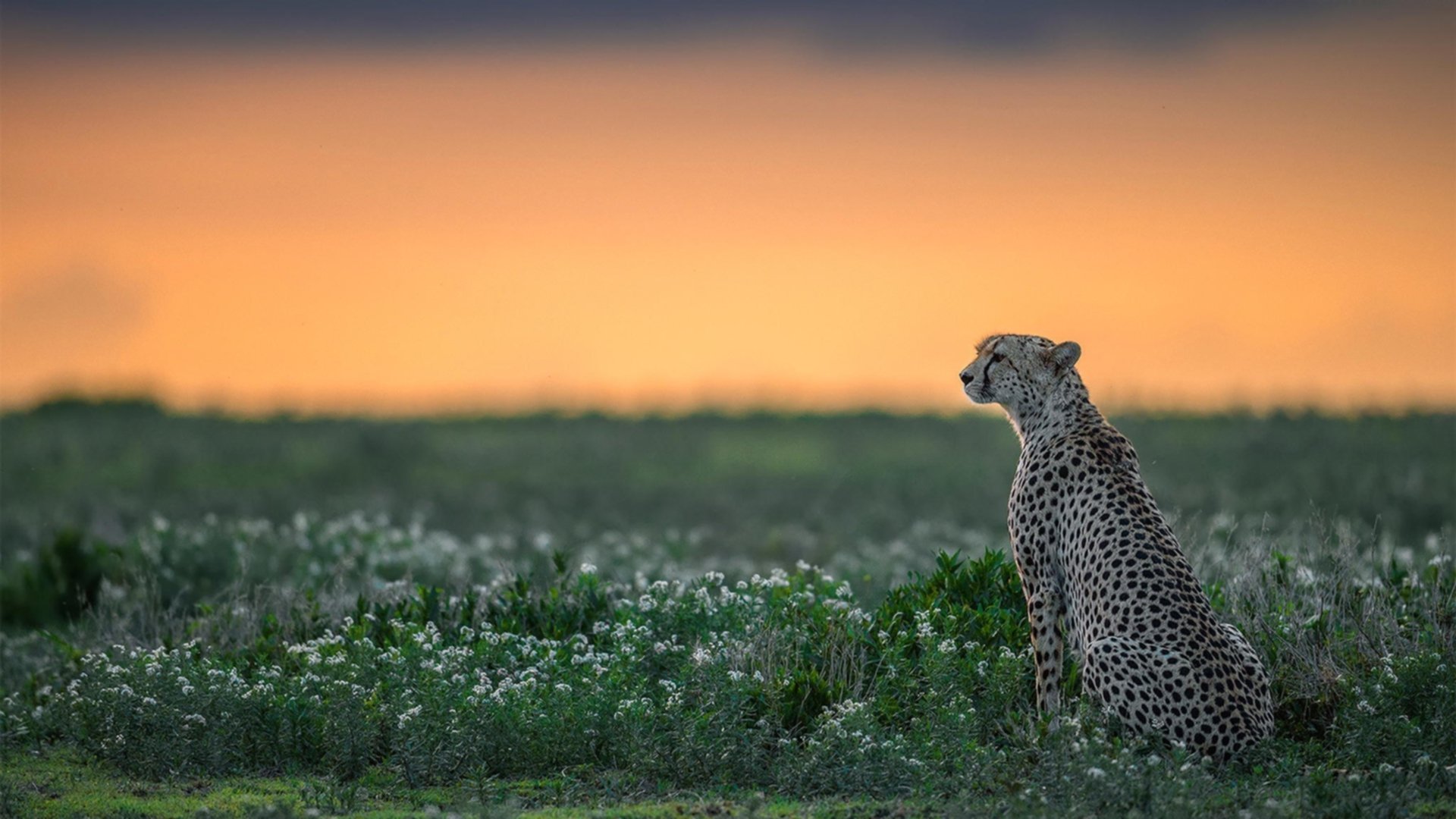 《电竞装备评测：助你成为操作高手》，电竞装置