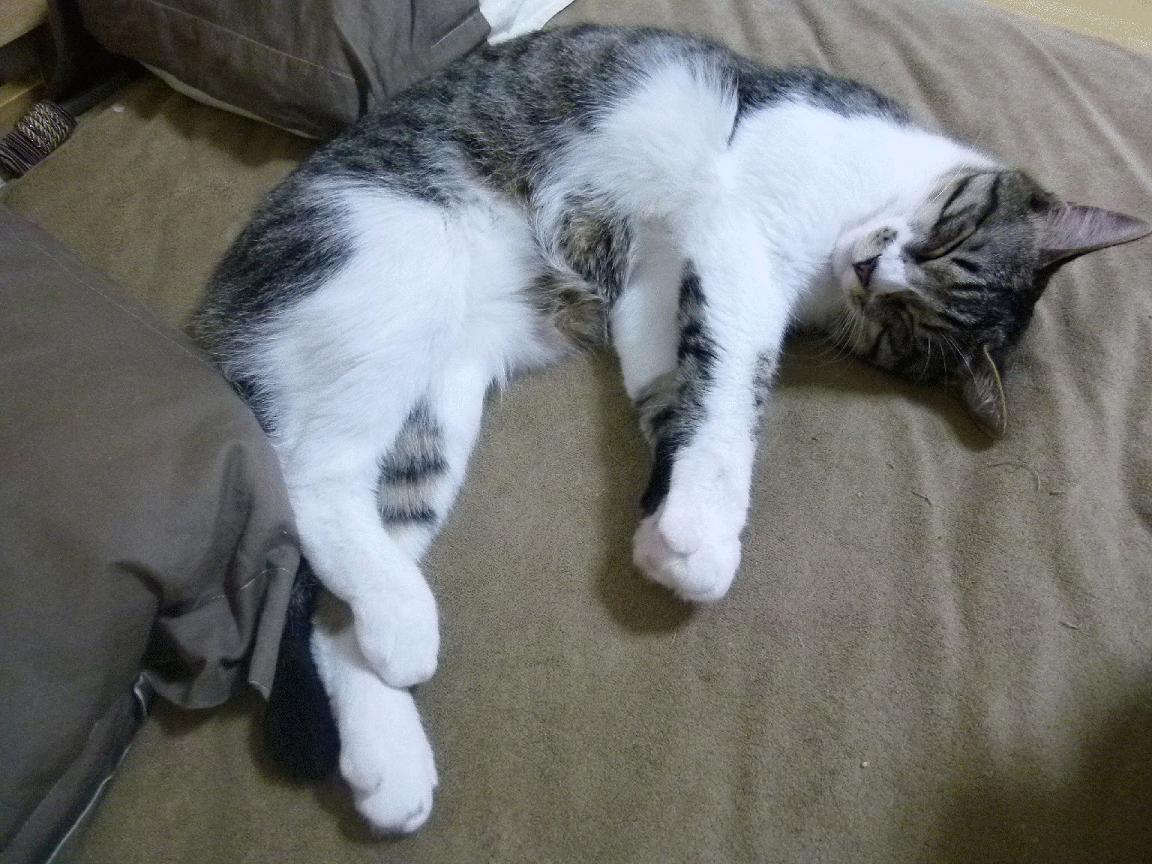 传奇纪录持续打破：哪些纪录即将被刷新？，传奇系列纪录片