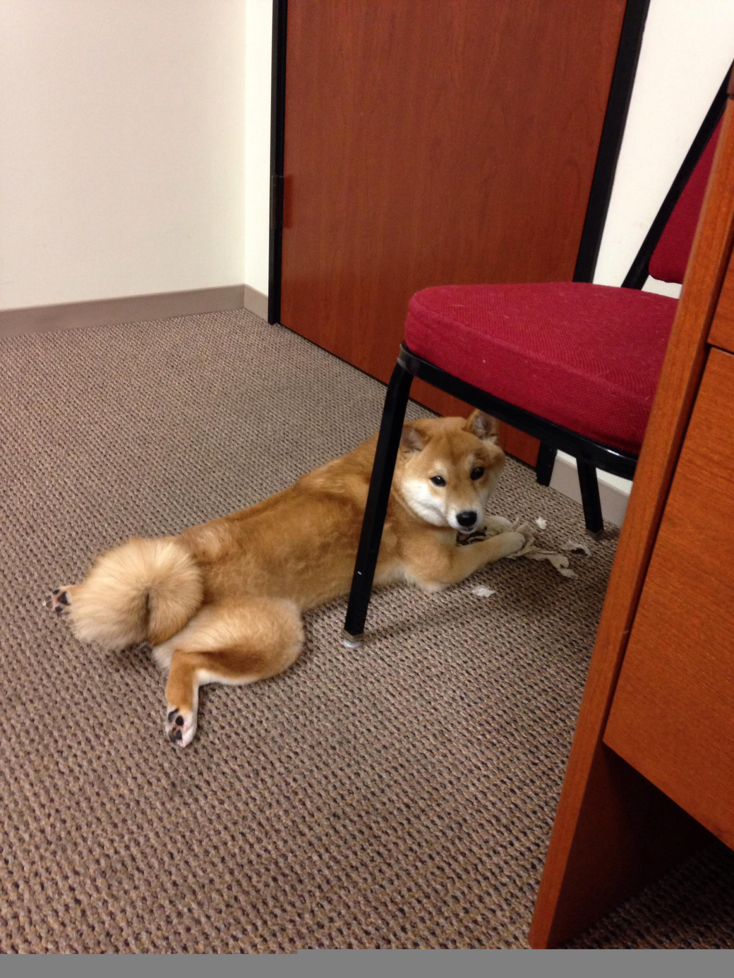 全国青少年“篮球未来星”技能大赛在南京精彩落幕,未来篮球俱乐部怎么样