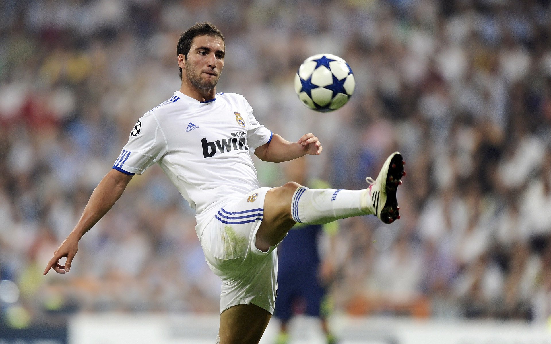 爱尔兰橄榄球产业政策推动赛事国际化，爱尔兰篮球联赛